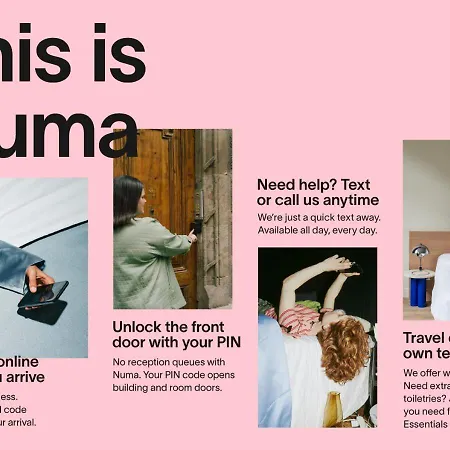 Numa Colmena